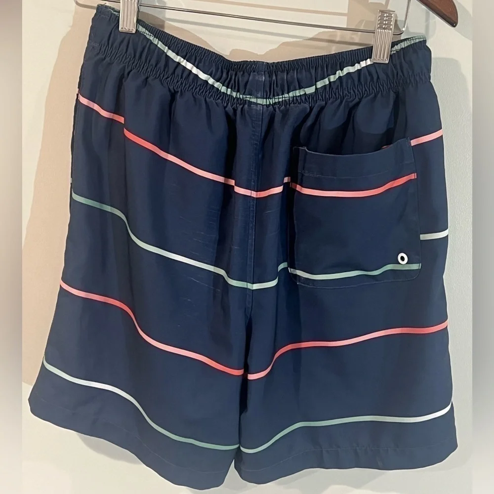 Men’s Small Speedo Lined Navy Stripe Swim Trunks
